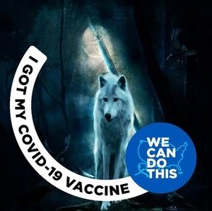 Meet your Posher, Chad